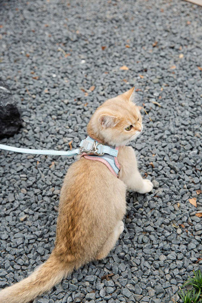 Cat Traction Rope Vest-Style Reflective Chest Harness Anti-Stroke Resistance