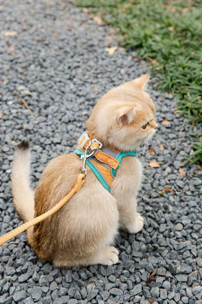 Cat Traction Rope Vest-Style Reflective Chest Harness Anti-Stroke Resistance