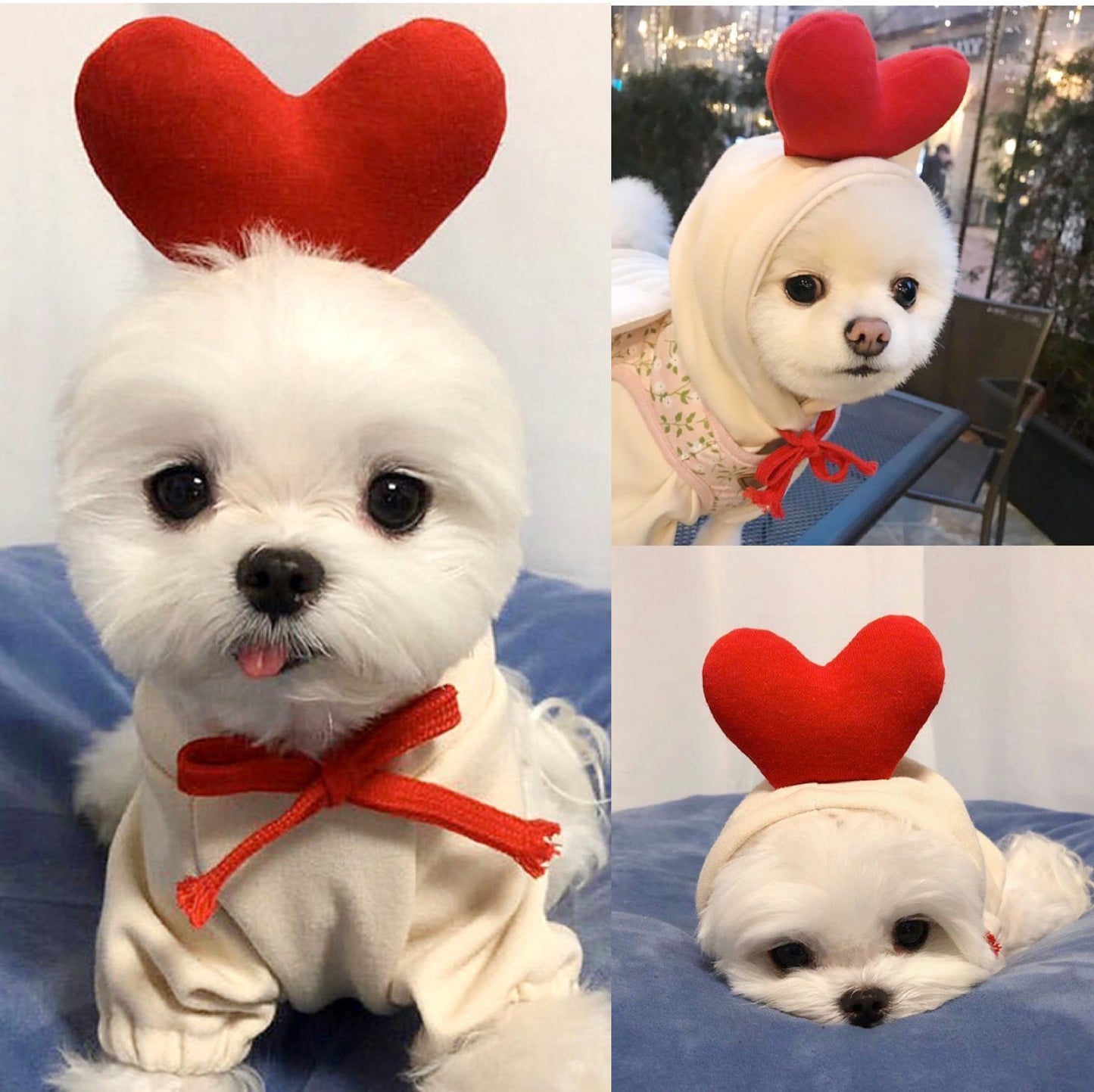 Cute Fruit Dog Hoodie – Warm Fleece Winter Outfit for Small Dogs & Cats