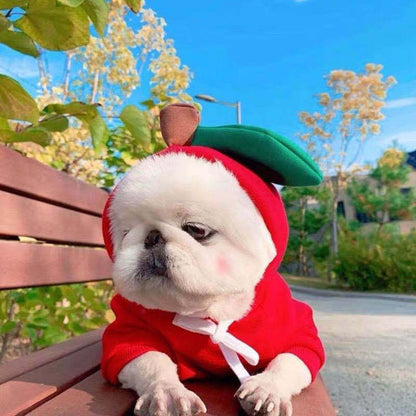 Cute Fruit Dog Hoodie – Warm Fleece Winter Outfit for Small Dogs & Cats