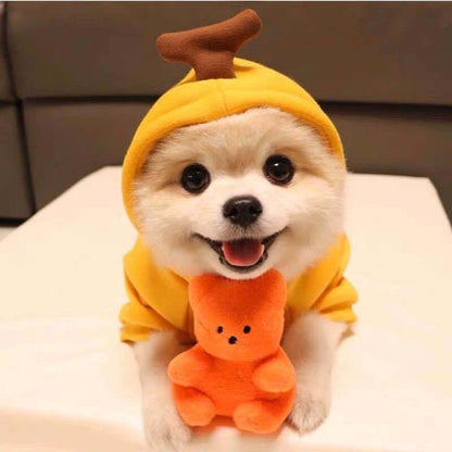 Cute Fruit Dog Hoodie – Warm Fleece Winter Outfit for Small Dogs & Cats